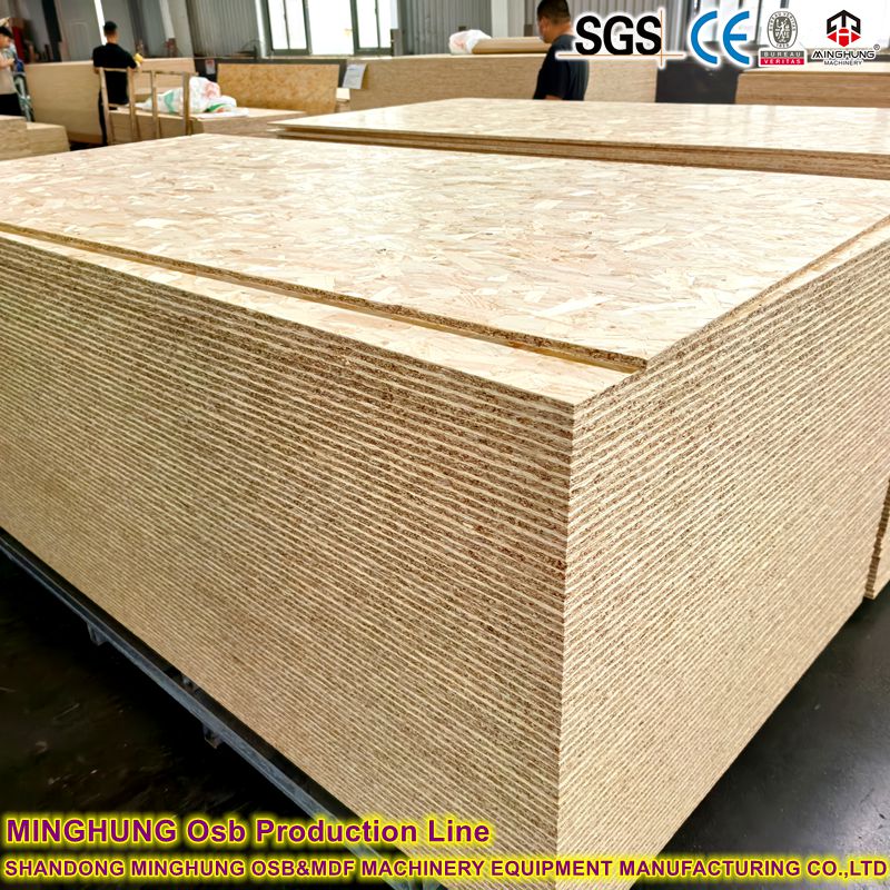 Oriented Strand Board Placa de fita orientada
