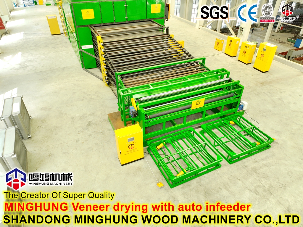 veneer drying with auto infeeder secagem de folheados com alimentação automática
