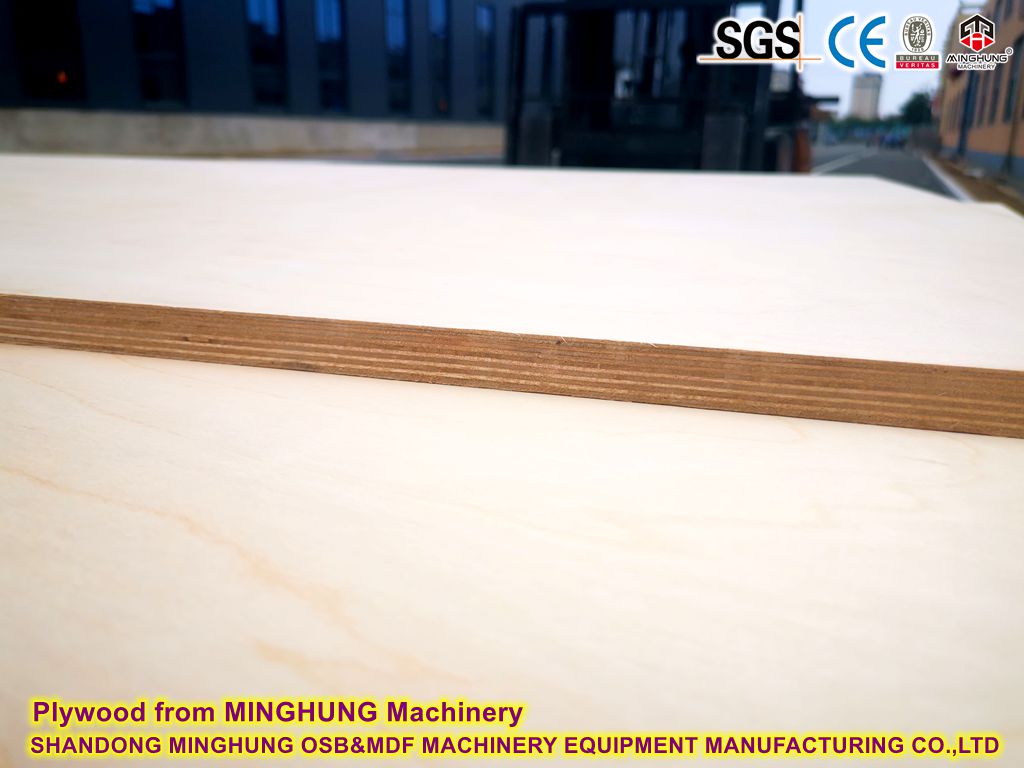 Plywood from MINGHUNG Plywood Machine Contraplacado da máquina de contraplacado MINGHUNG