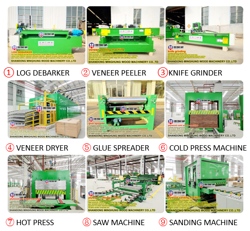 plywood machine line linha de máquina de compensado