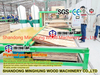 Linha de layout de linha de produção de compensado para fabricação de placa de painel de compensado