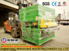 Máquina de lixar e polir duas cabeças para fazer madeira compensada