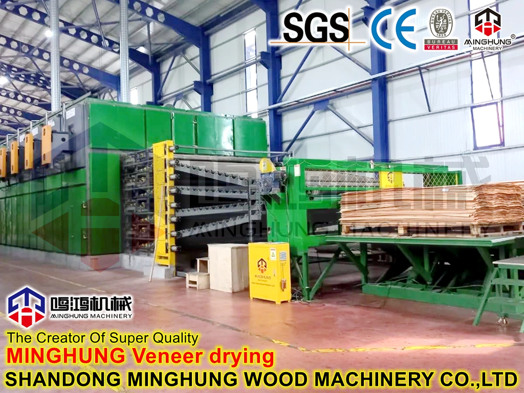 MINGHUNG secador de facetas