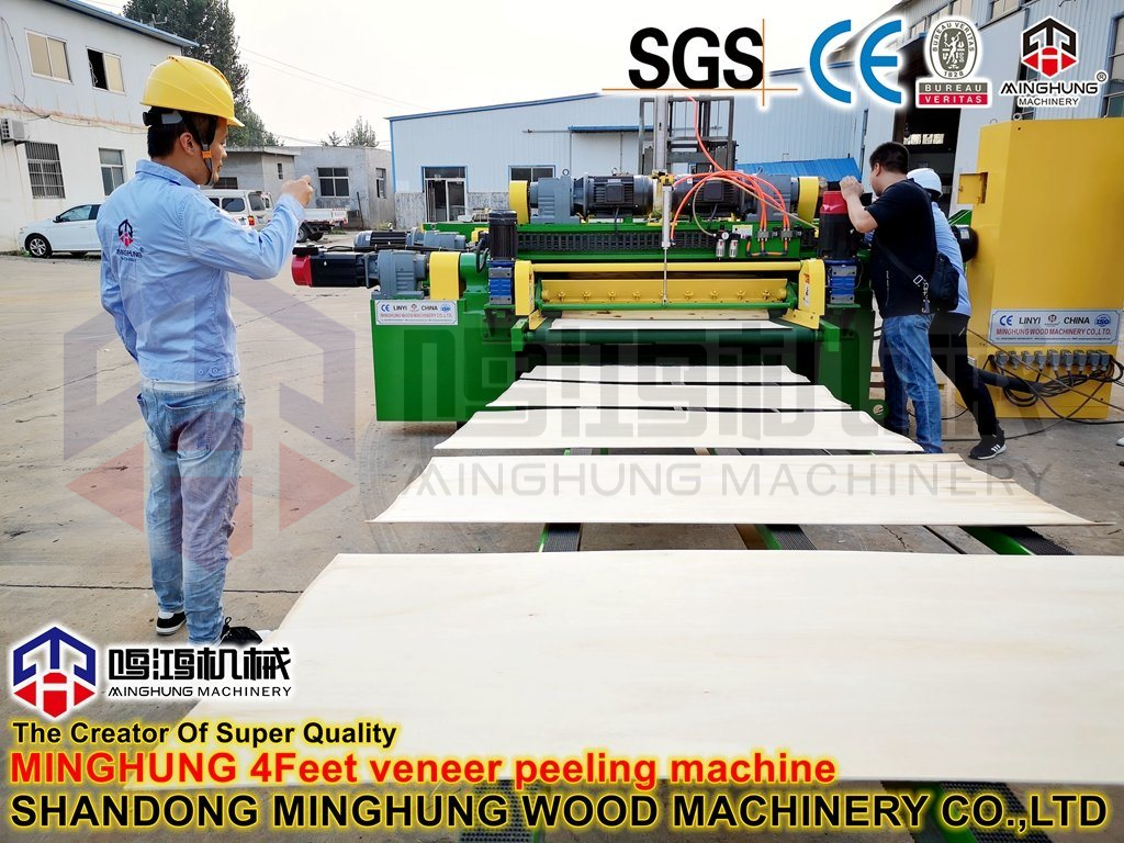 máquina de descascamento forte para faia