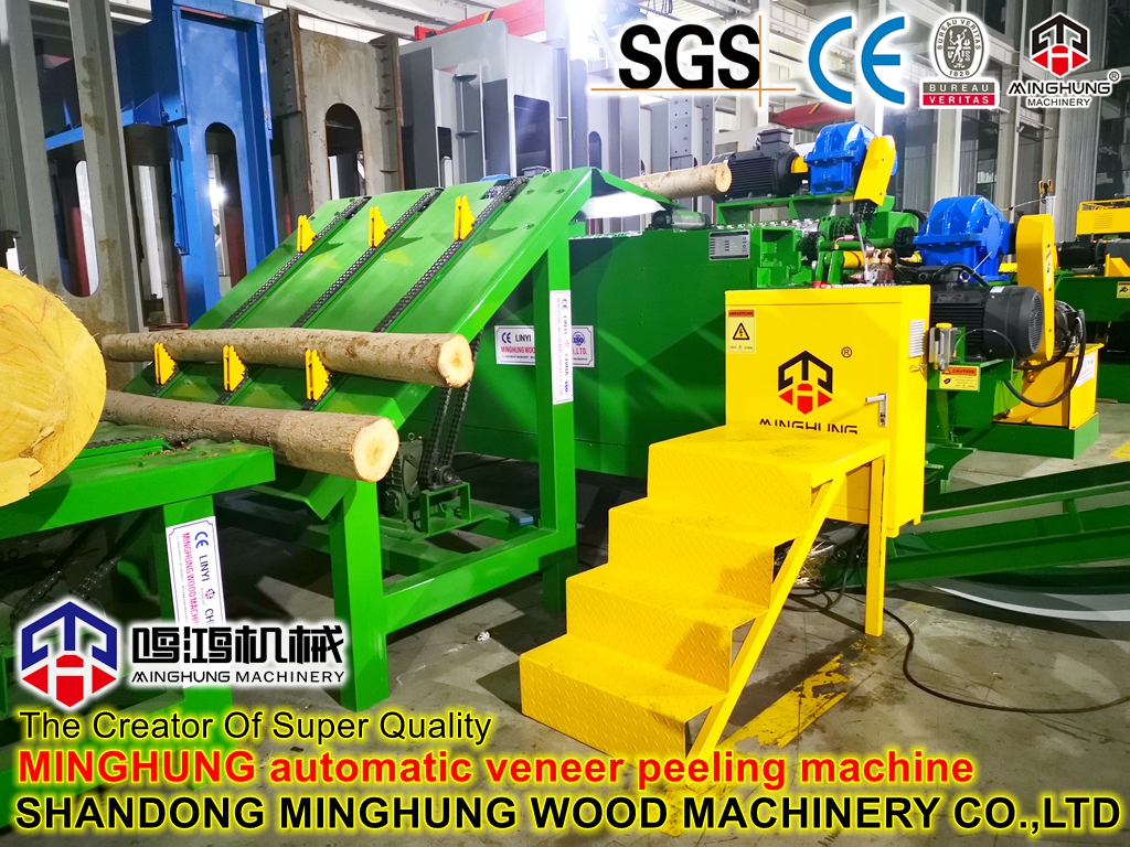 descascador de registros MINGHUNG