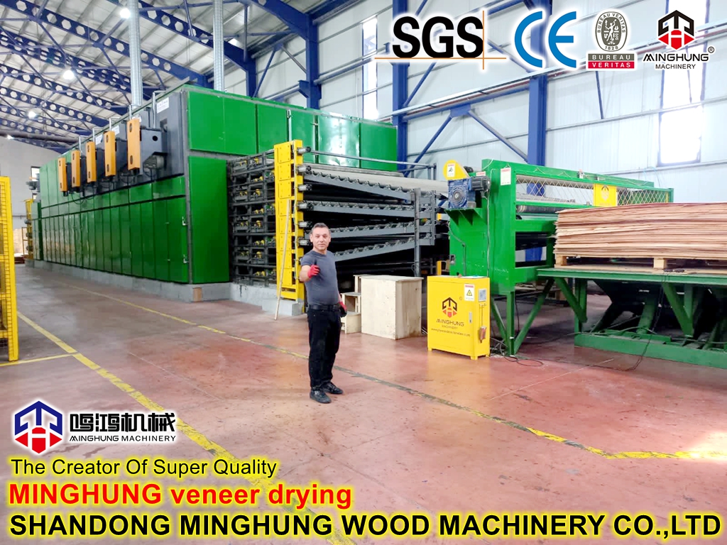 MINGHUNG secagem do folheado de faia