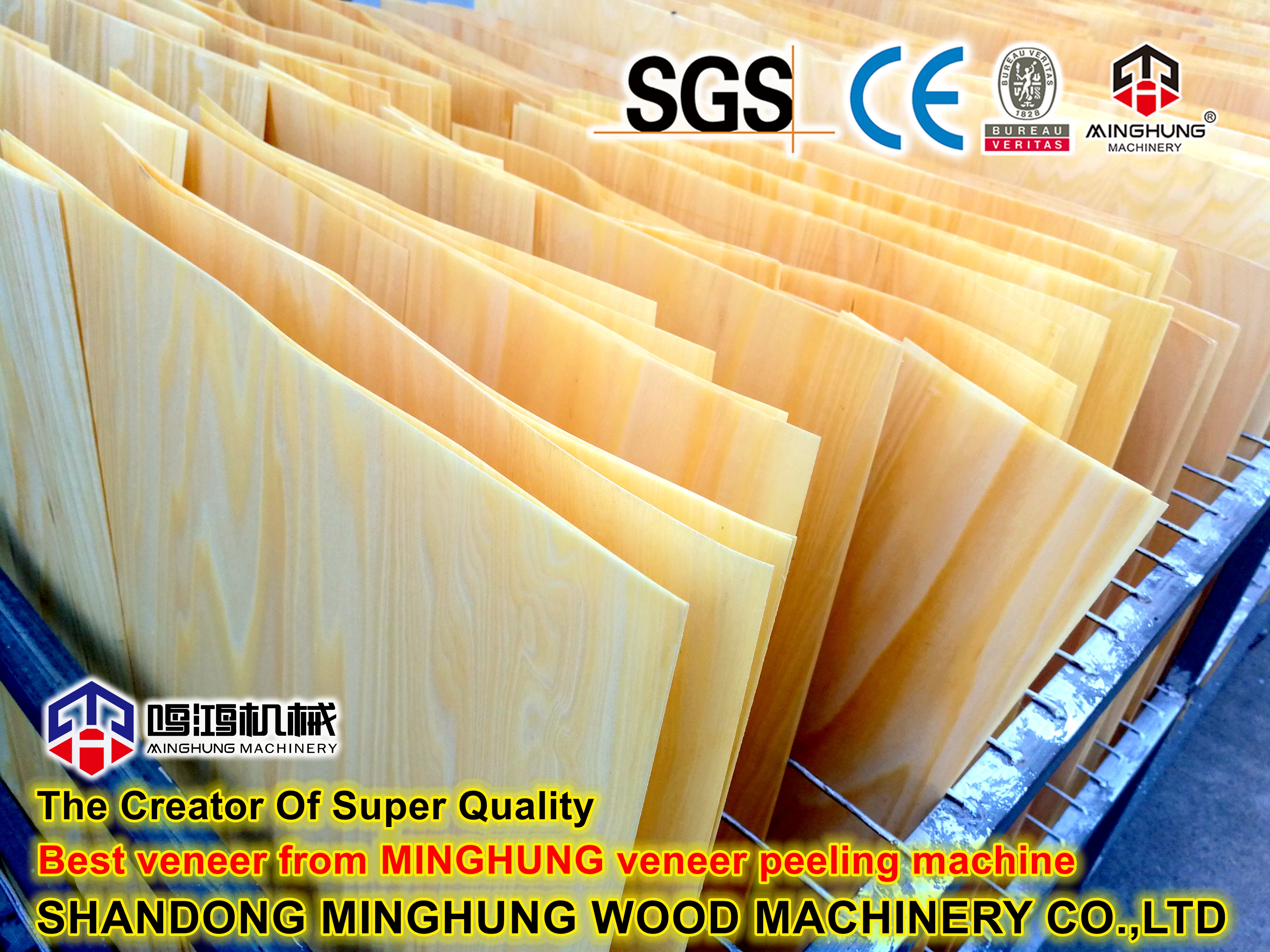 n&uacute;cleo folheado