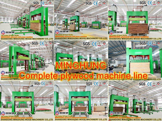 Equipamento frio da imprensa do woodworking da eficiência elevada da máquina da imprensa da madeira compensada
