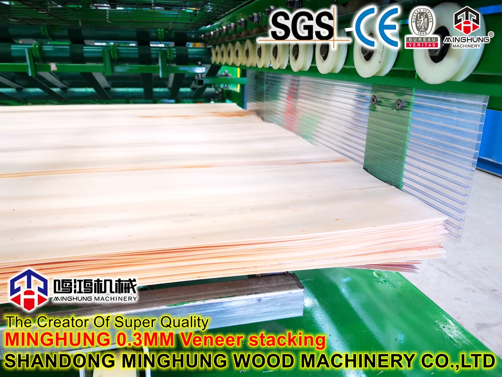 IMG_20230420_151304_副本 - Novo