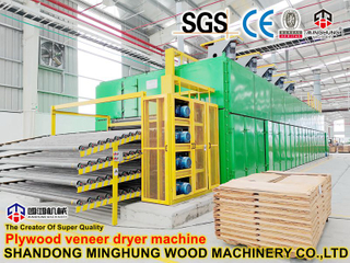 Máquina de secagem econômica de compensado