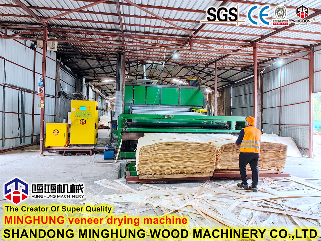 M&aacute;quina secadora de chapa (3)