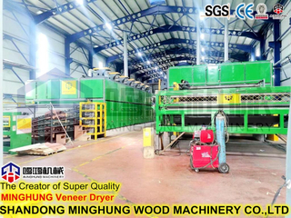 Secagem de compensado de faia