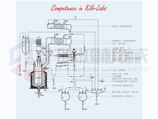 Processo de produção de cola