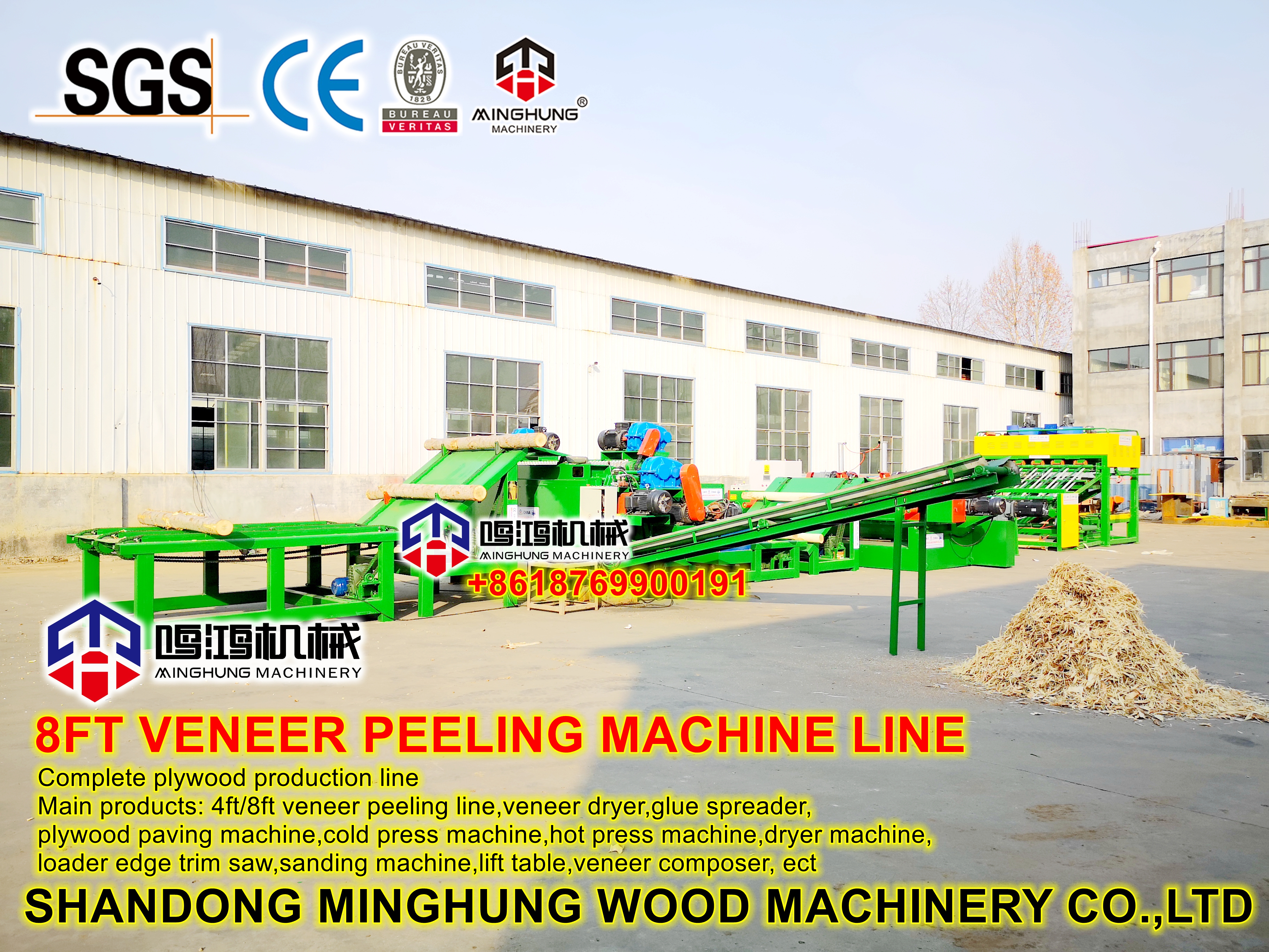 MINGHUNG LINHA DE VENEER (2)
