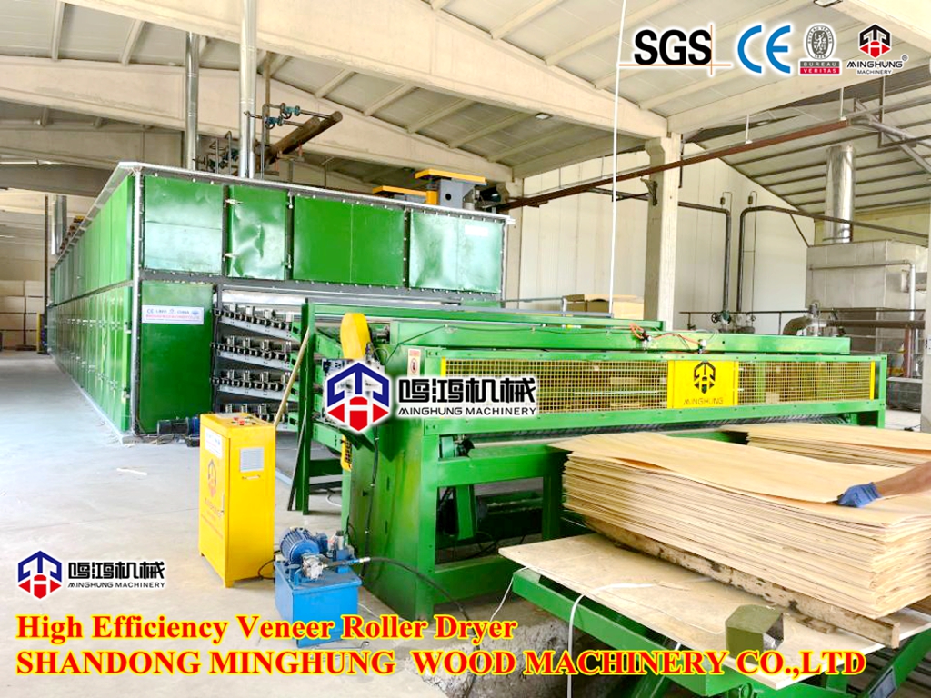 roller dryer secador de rolo