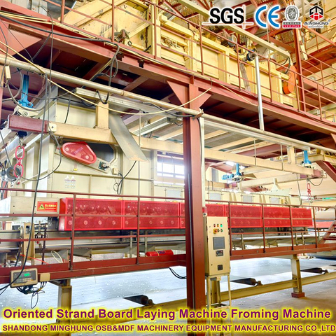 800m³ diariamente de alta estabilidade OSB Linha 1220x2440mm