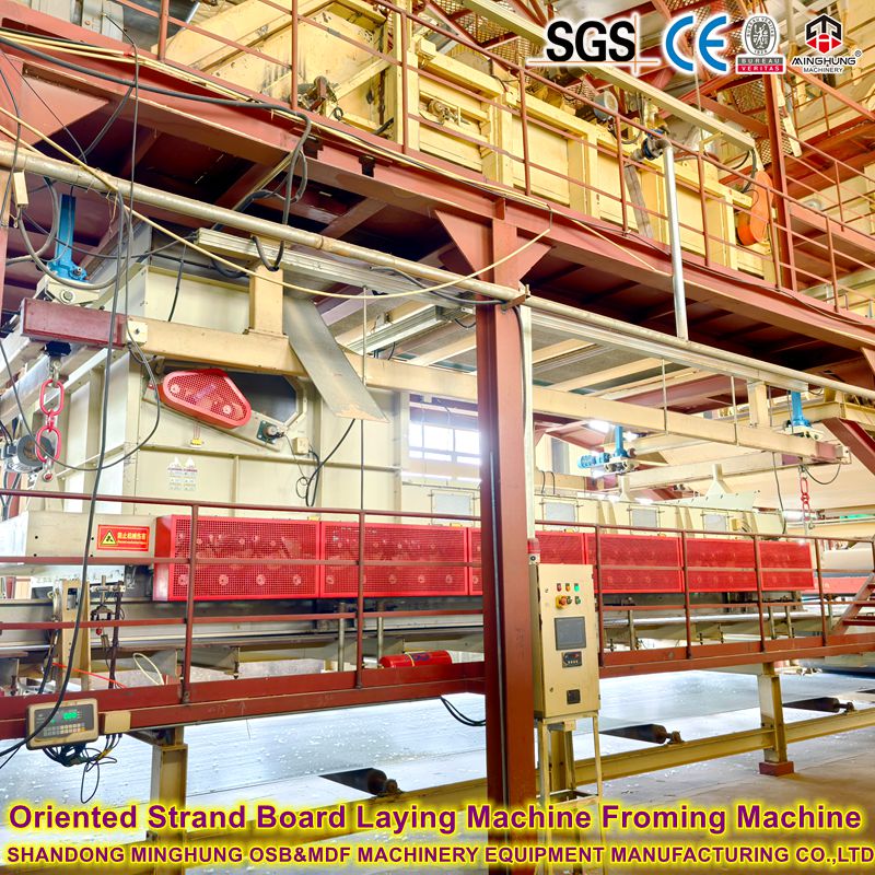 800m³ diariamente de alta estabilidade OSB Linha 1220x2440mm