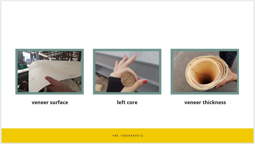 Máquina de descascar toras de madeira de 8 pés