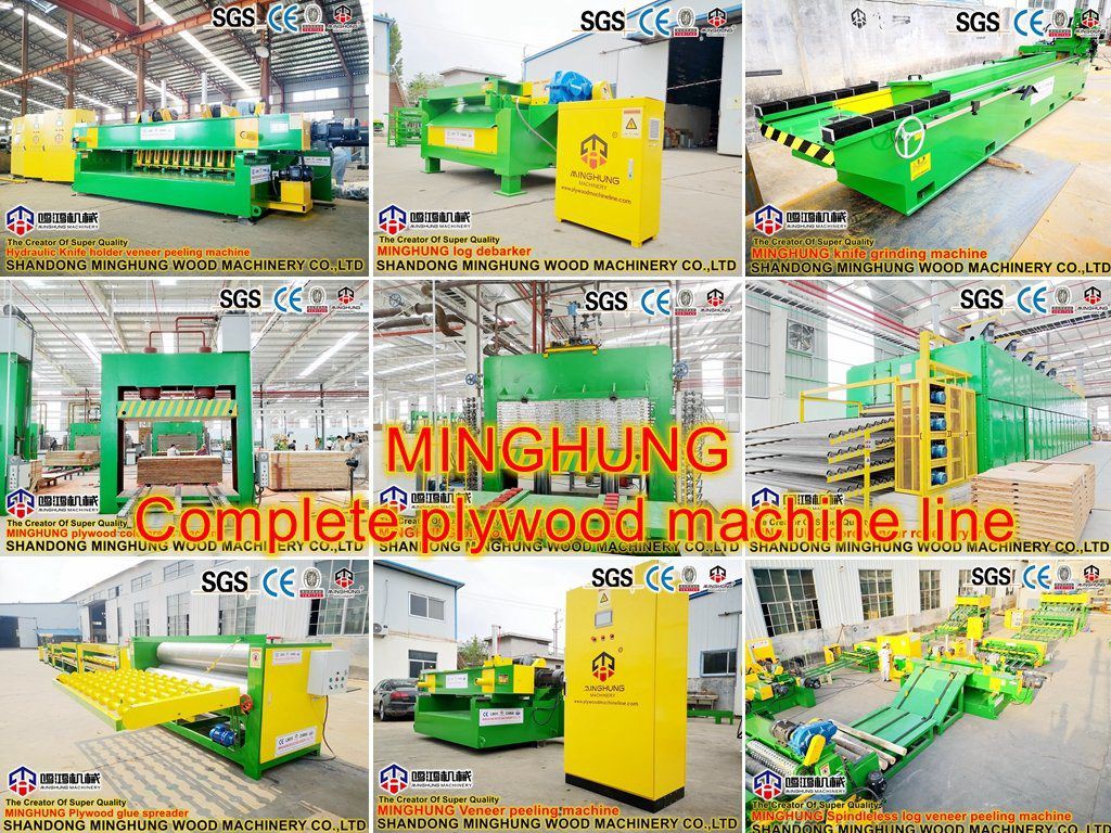 Máquina de contraplacado China