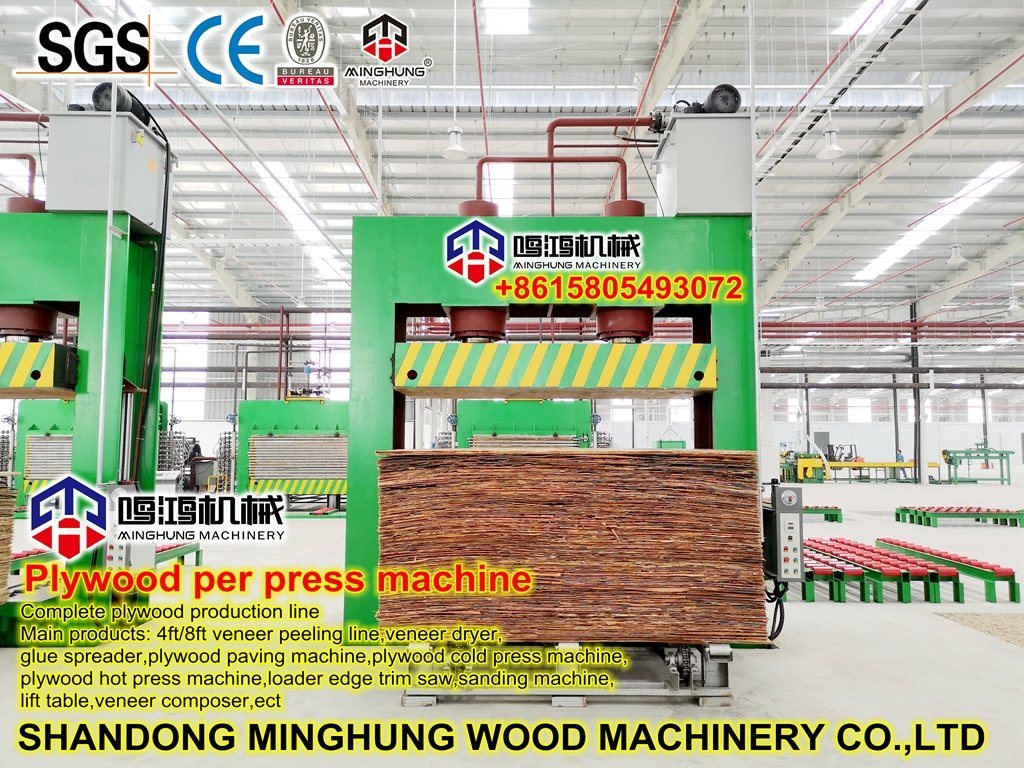 Prensa a frio de compensado