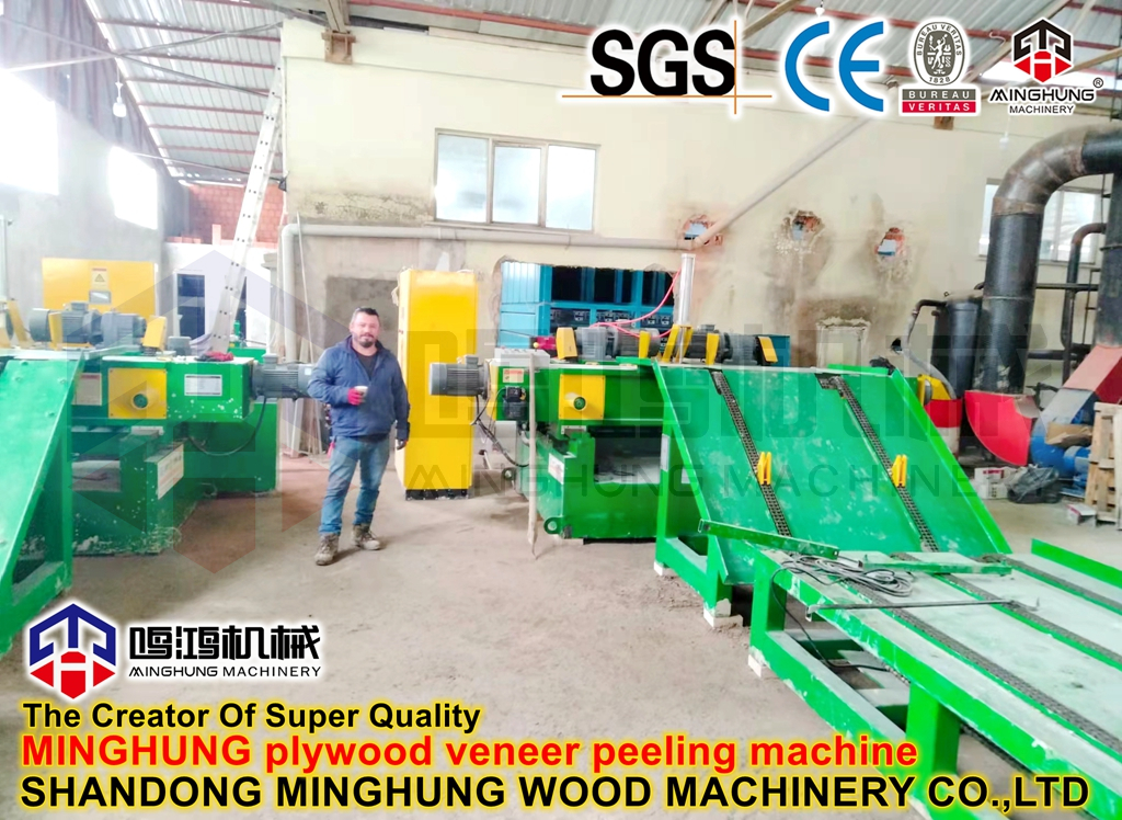 MINGHUNG Torno descascador de facetas