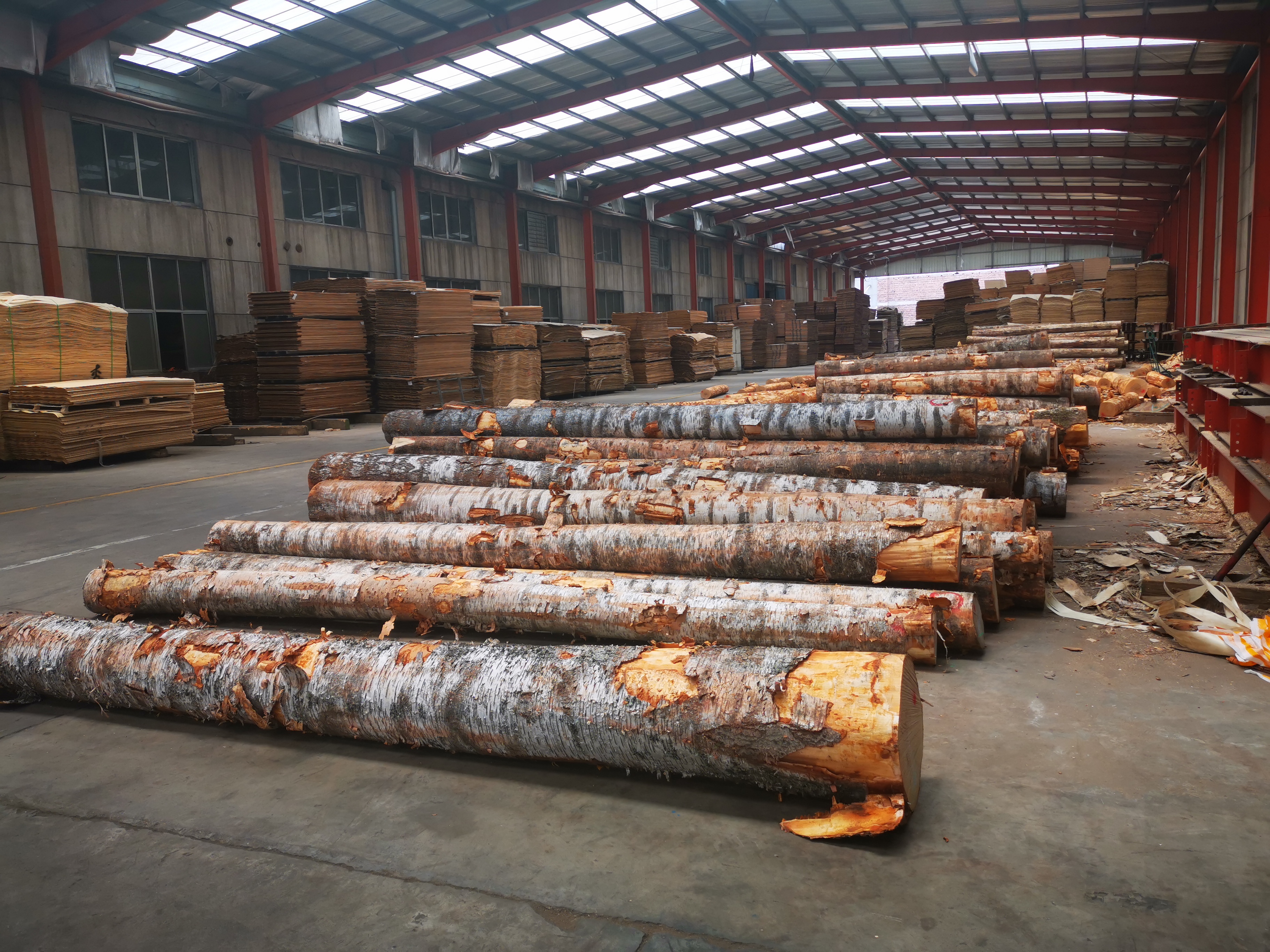 Máquinas para madeira China Minghung 