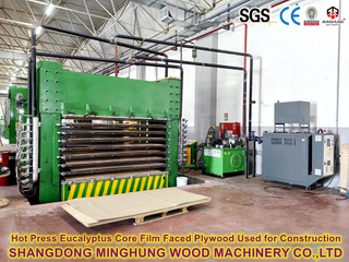 Linha de produção de madeira compensada de 1 mm de 1 mm