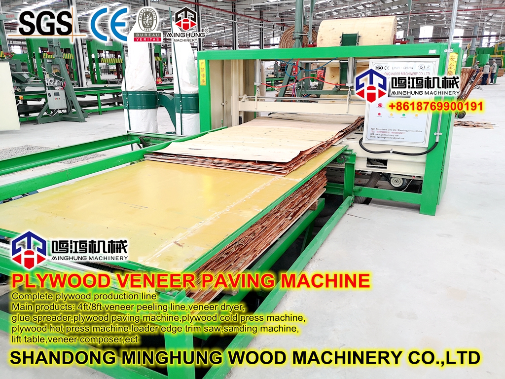 plywood paving machine máquina de pavimentação de compensado